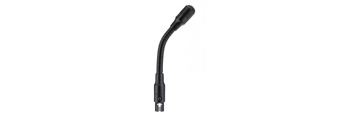 Microphone (gooseneck)