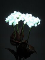 Hydrangea, white, with flowers, 100 LEDs