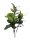Rubber tree, 100cm