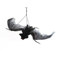 Bat with ca 120 cm wing-spread