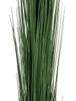 Reed grass, dark green, 127cm