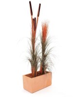 Reed grass, light brown, 127cm