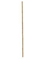 Bamboo tube, Ø=3cm, 200cm