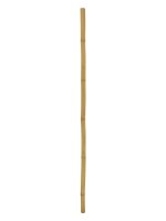 Bamboo tube, Ø=5cm, 200cm