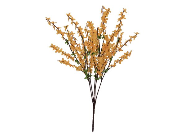 Forsythienbusch, 60cm