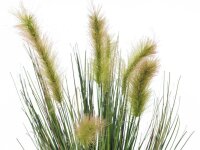 Moor-grass in pot, 60cm