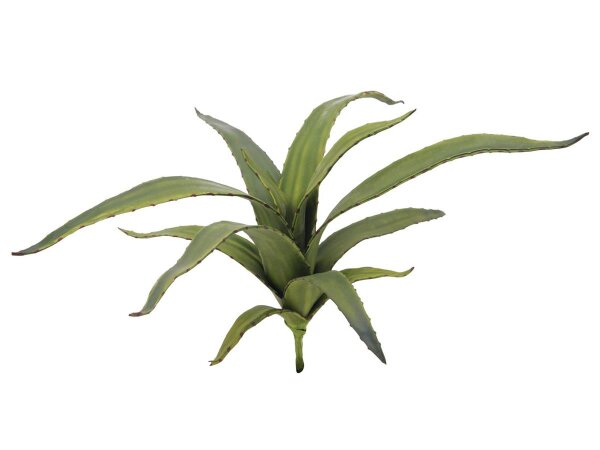 Aloe (EVA), green, 66cm