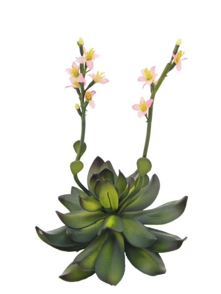 Houseleeks (EVA), pink, 32cm