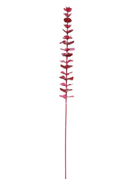 Crystal eucalyptus, burgundy 81cm 12x