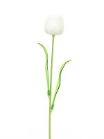 Crystal tulip, white 61cm 12x