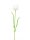 Crystal tulip, white 61cm 12x