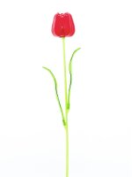 Kristalltulpe, rot, 61cm, 12Stk.