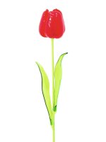 Kristalltulpe, rot, 61cm, 12Stk.