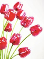 Crystal tulip, red 61cm 12x