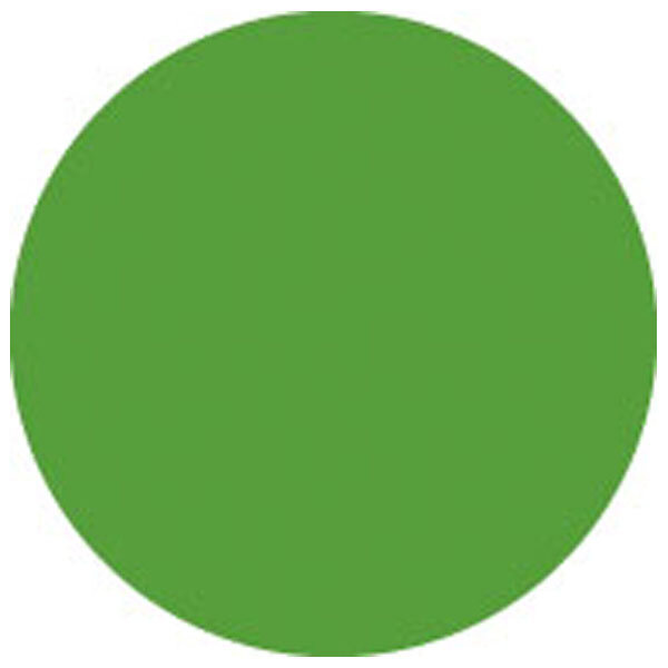 Showgear Colour Roll 122 x 762 cm, Fern Green