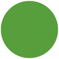 Showgear Colour Roll 122 x 762 cm, Fern Green