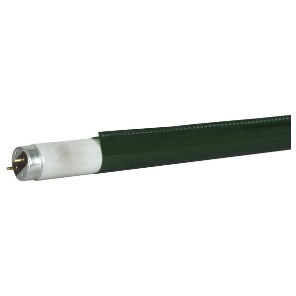 Showgear C-Tube T8 1200 mm, 139C - Primary Green - Colour fast filter