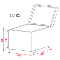 Showgear UCA-RIG1, Rigging Flightcase with insert