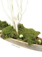 Deco Ball 3,5cm, light green, shiny48x