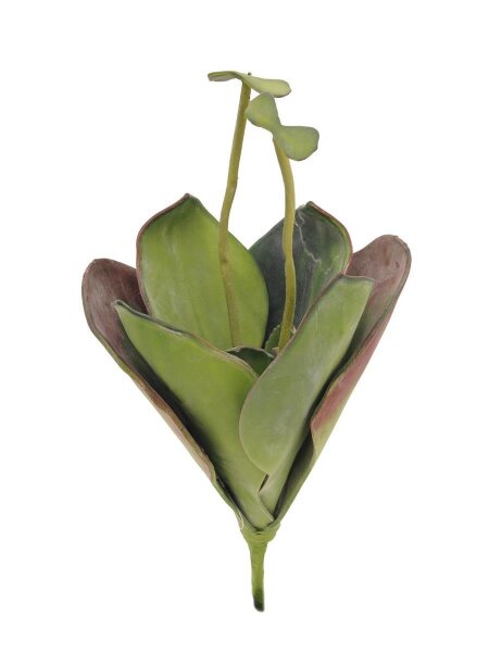 Water Lily (EVA), closed, green, 45cm