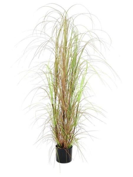 Grass bush, 150cm