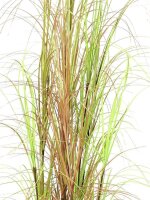 Grass bush, 150cm