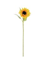 Sonnenblume, 70cm