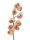 Cymbidium spray, cream-pink, 90cm