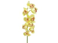 Cymbidium spray, yellow, 90cm