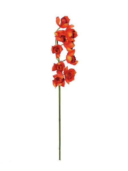 Cymbidium spray, red, 90cm