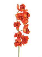 Cymbidium spray, red, 90cm