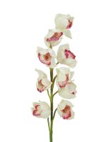 Cymbidium spray, white-pink, 90cm