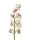 Cymbidium spray, white-pink, 90cm