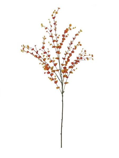 Eucalyptuszweig, orange, 110cm
