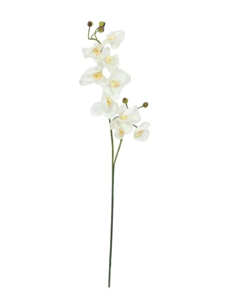 Orchideenzweig, creme-weiß, 100cm