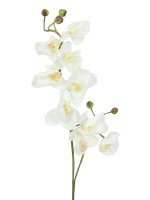 Orchideenzweig, creme-weiß, 100cm