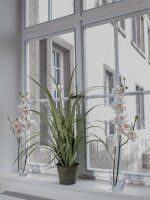 Orchideenzweig, creme-weiß, 100cm