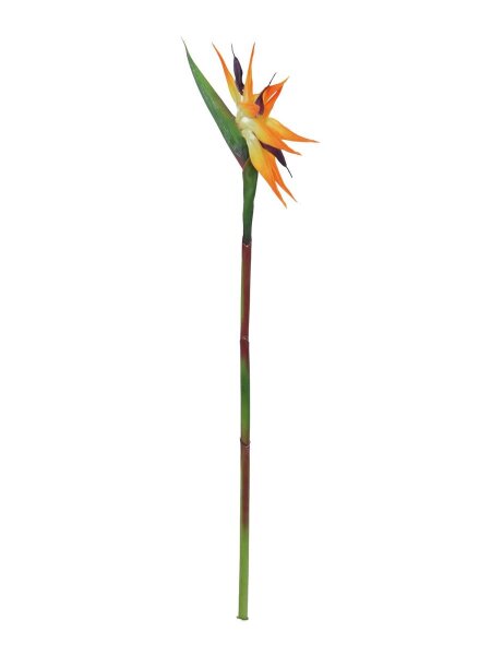 Bird-of-paradise spray, orange, 95cm