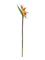 Paradiesblume, orange, 95cm