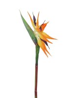 Paradiesblume, orange, 95cm