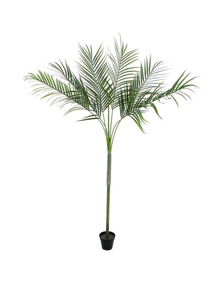 Europalms Areca deluxe, 180cm