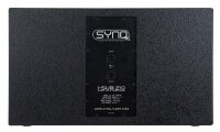 Synq Audio I-SUB 210, Basslautsprecher, passiv, 500 Watt RMS, 1000 Watt Peak