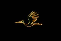 Laserworld Cube 1.5, 1500mW Laser, akkubetrieben, Bluetooth-APP, DMX, Stand-Alone (Musik), ILDA