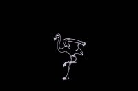 Laserworld Cube 1.5, 1500mW Laser, akkubetrieben, Bluetooth-APP, DMX, Stand-Alone (Musik), ILDA