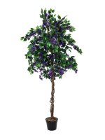 Bougainvillea, lavendel, 150cm