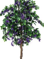 Bougainvillea, lavender, 150cm