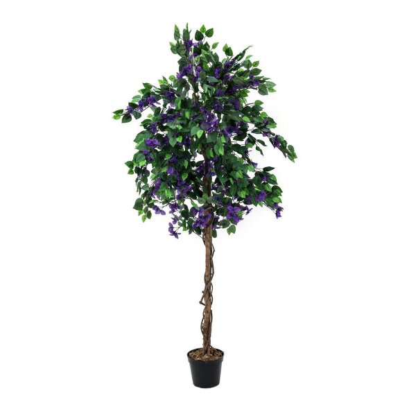 Bougainvillea, lavendel, 180cm