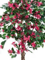 Bougainvillea, red, 150cm