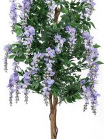 Wisteria, purple, 150cm