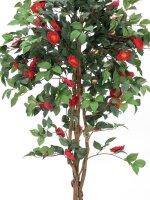 Kamelienbaum rot mit Topf 180cm